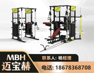 陇南多功能综合训练器