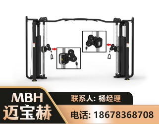 陇南大飞鸟训练器