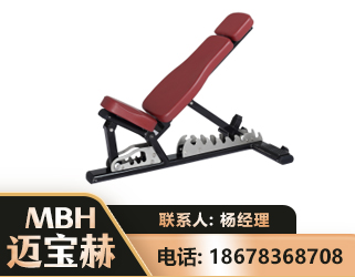 陇南可调哑铃椅
