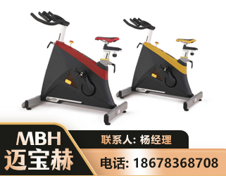 陇南商用动感单车