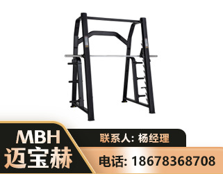 陇南史密斯机